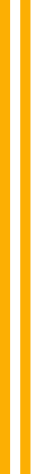 two yellow lines/yellow design elements